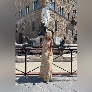 Brand New Sabo Skirt Backless Zhara Dress - XS!